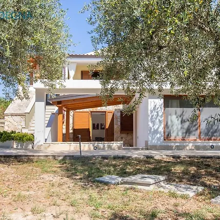 Clicksardegna Brionis Sea View, 7 Bedrooms, 5 Bathrooms And 3 Kitchens 别墅 阿尔盖罗